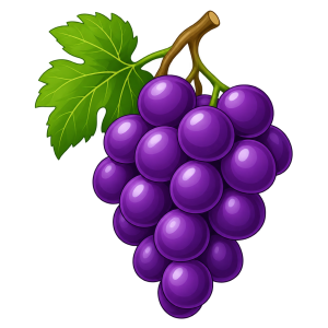 Grapes Clipart PNG Free